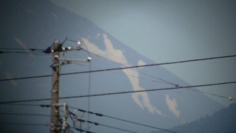 富士山残雪が犬の背面跳びに見える