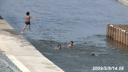 子供たちが境川で水泳する