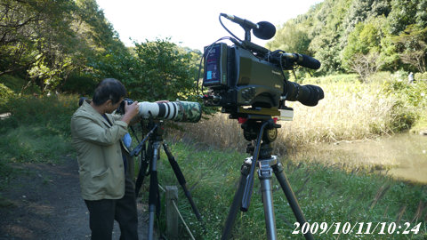 AG-HPX305 + 50-500mm