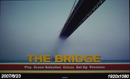The Bridge, DVD cover